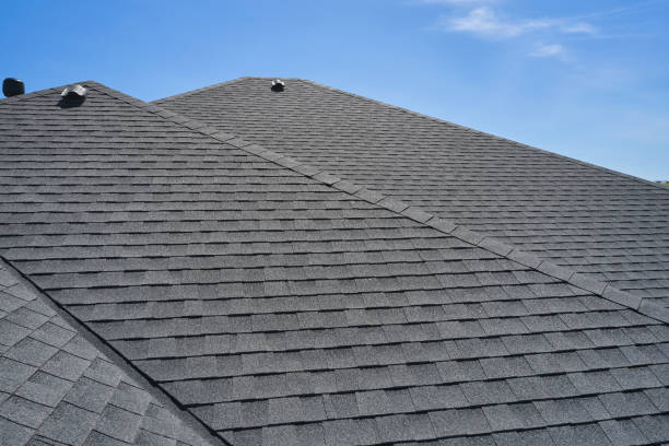 Best Metal Roofing Installation  in Bloomfield, MO