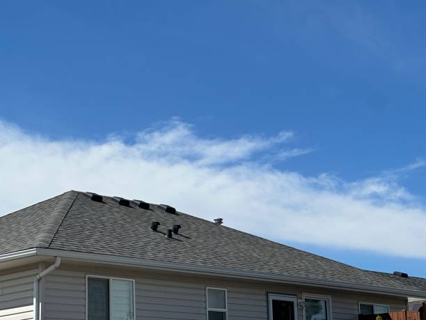 Best Steel Roofing  in Bloomfield, MO